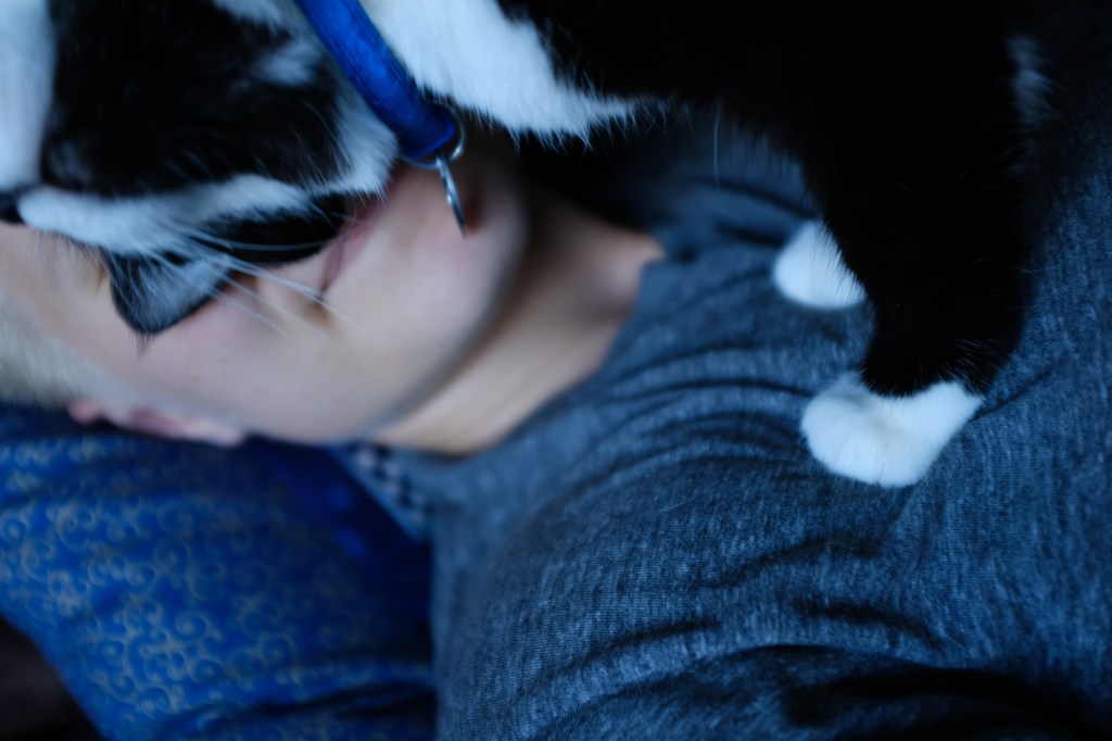 At the whim of&nbsp;others