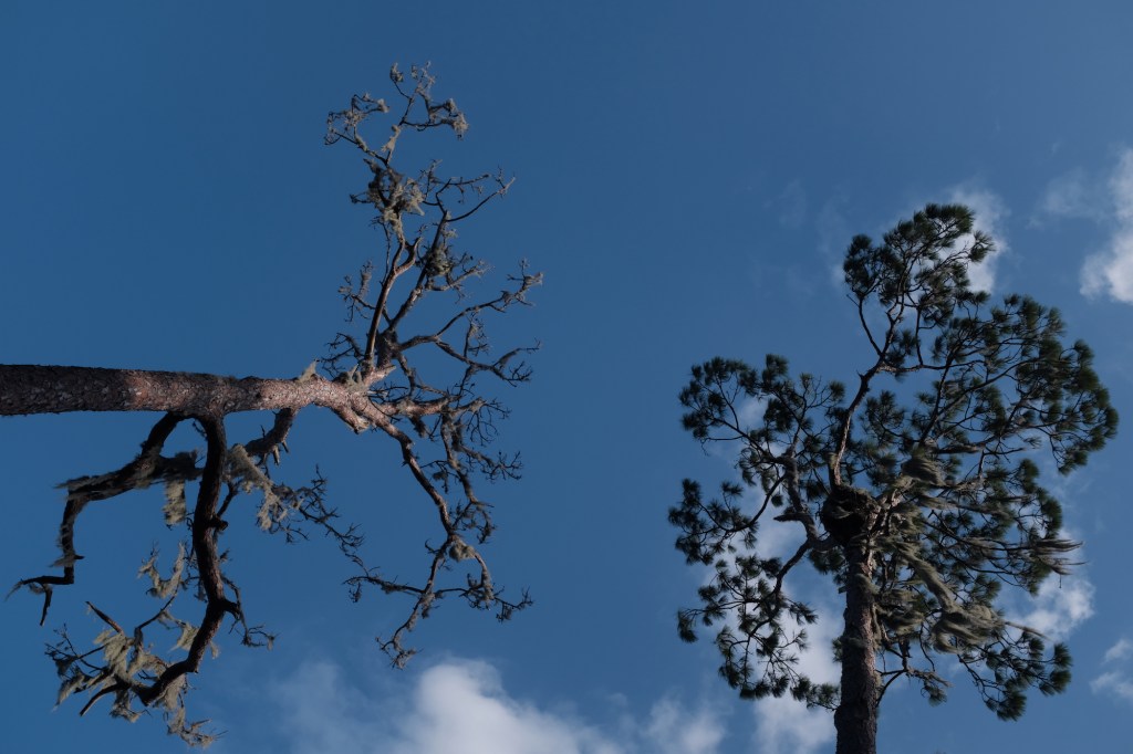 Tips for Distinguishing Between Self Care & Self&nbsp;Enabling