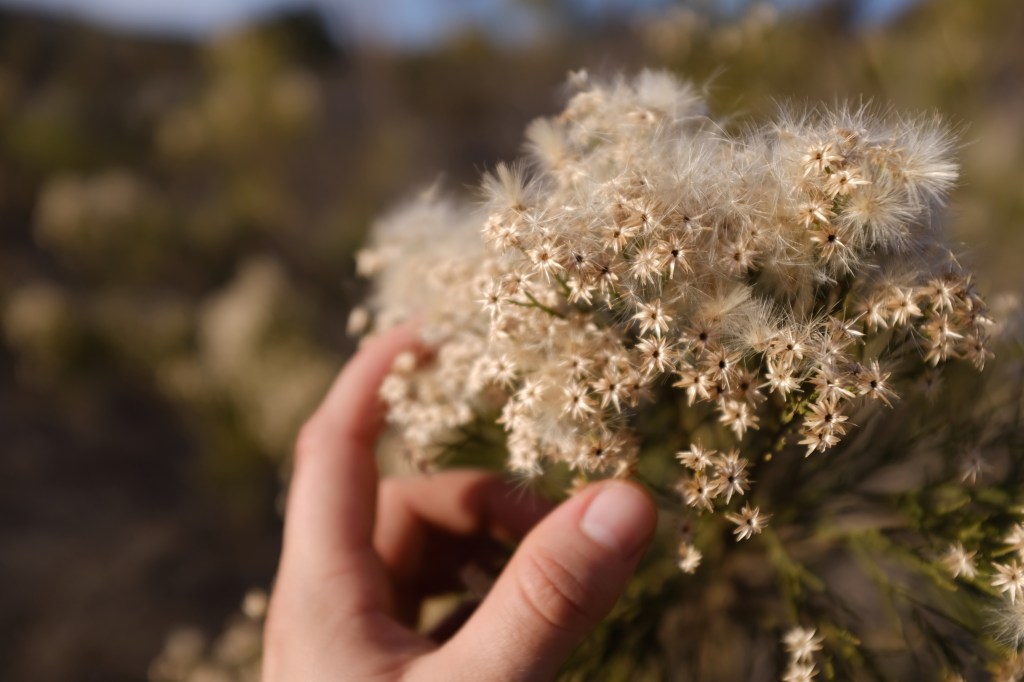 As close as we&nbsp;can