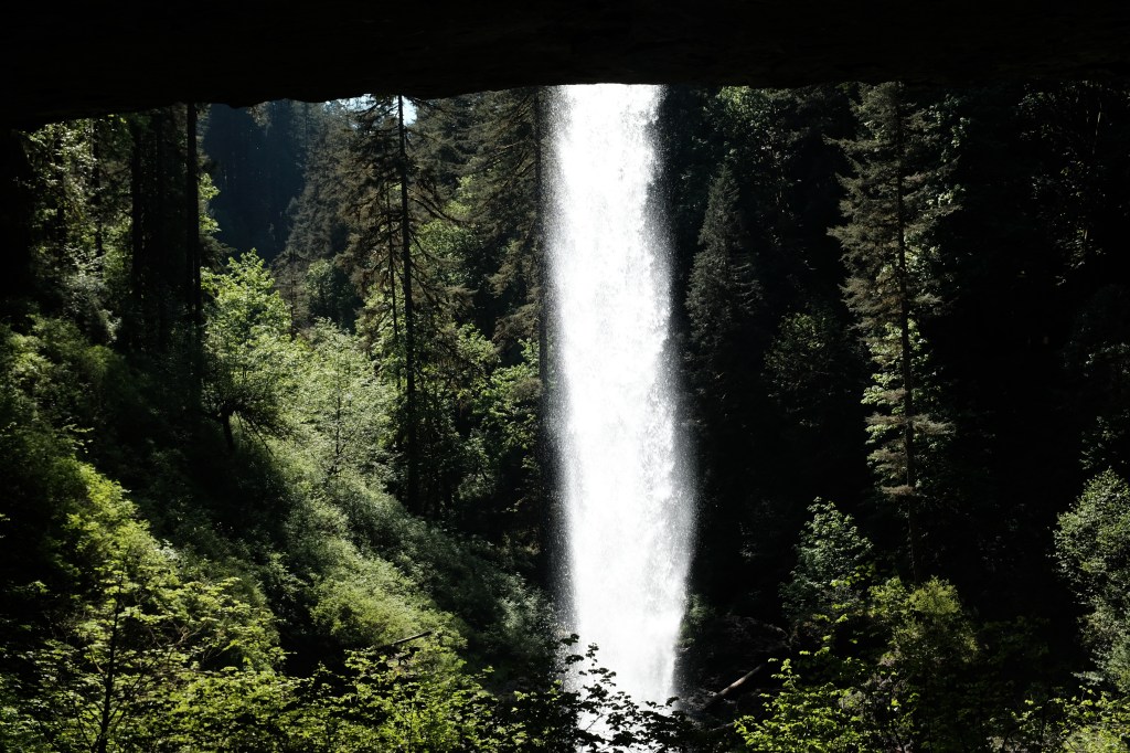 My eyes have&nbsp;seen