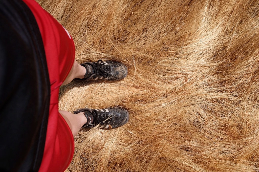 pause rather than&nbsp;panic