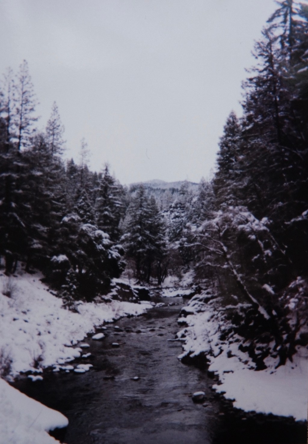 deliberate delayed gratification