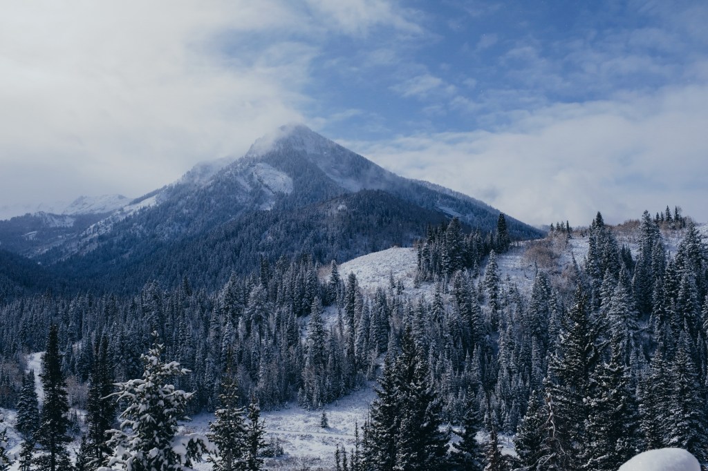 fraction of the&nbsp;joy