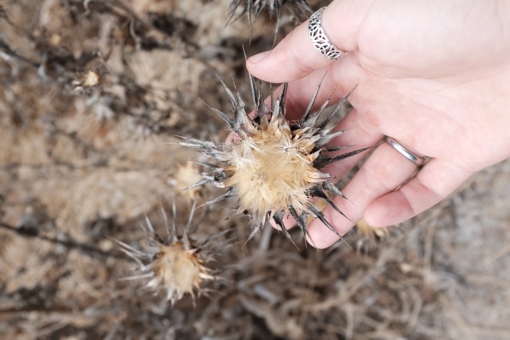 You can do&nbsp;that