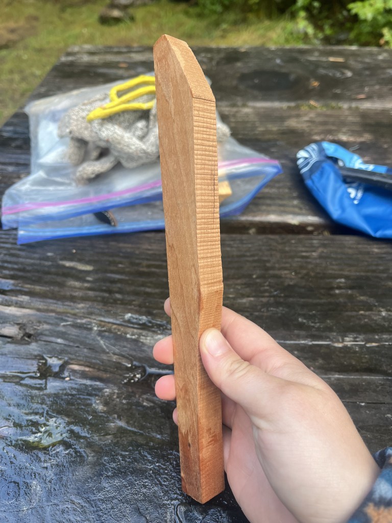 Hand holding a block of wood with a nature background.